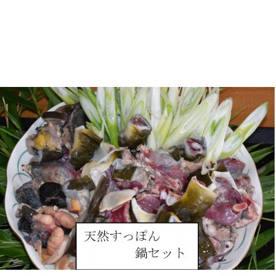 天然すっぽん鍋【4～5人前】