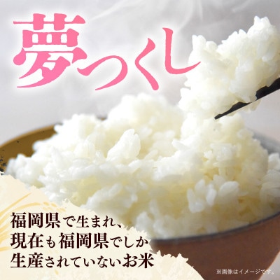 令和7年産 福岡県産米 夢つくし 5kg 精米(筑前町)