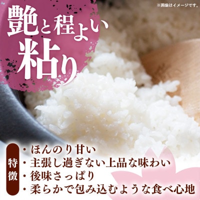 令和7年産 福岡県産米 夢つくし 5kg 精米(筑前町)