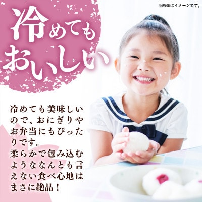 令和7年産 福岡県産米 夢つくし 5kg 精米(筑前町)