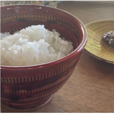 令和7年産【特別栽培米】久保山百年米-白米(2kg×5袋)計10kg精米したてを農家直送致します!!