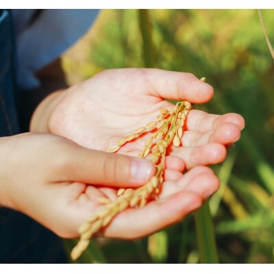 令和7年産【白米】久保山百年米-真空パック(2合300g×5袋)-計1.5kgギフトにもオススメ!