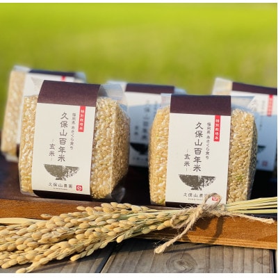 令和7年産 【玄米】久保山百年米 真空パック(2合300g×5袋)計1.5kgギフトにオススメ!