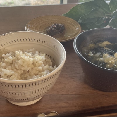 令和7年産 【玄米】久保山百年米 真空パック(2合300g×5袋)計1.5kgギフトにオススメ!