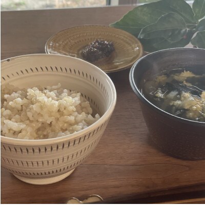 【農家直送】令和7年産 久保山百年米 玄米10kg【5kg×2袋】夢つくし/元気つくし