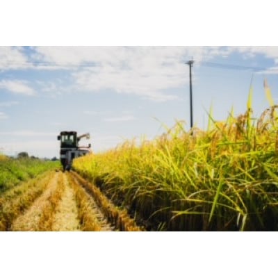 【農家直送】令和7年産 特別栽培米 玄米 計10kg(2kg×5袋)夢つくし/元気つくし