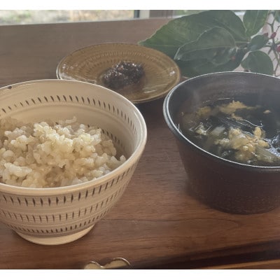 【農家直送】令和7年産 特別栽培米 玄米 計10kg(2kg×5袋)夢つくし/元気つくし