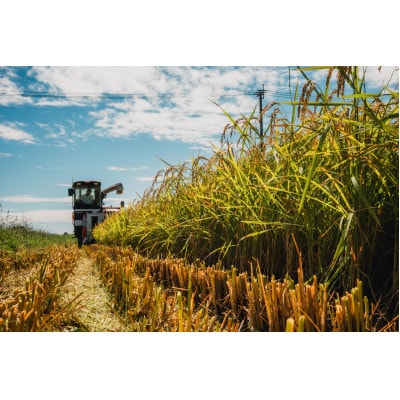 令和7年産 特別栽培米【無洗米】計9kg(3kg×3袋)精米したてを農家直送でお届け!