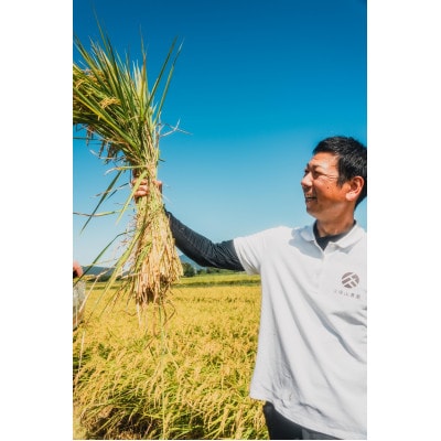 令和7年産 特別栽培米【無洗米】計9kg(3kg×3袋)精米したてを農家直送でお届け!