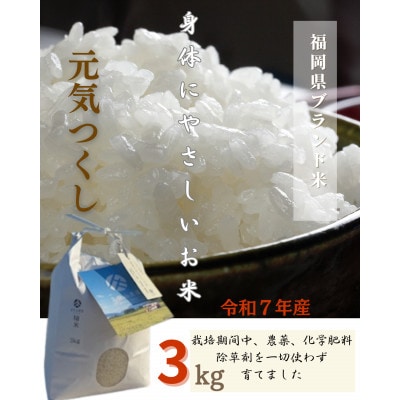 令和7年産 身体にやさしいお米【栽培期間中、農薬・化学肥料を一切使わず育てたお米】農家直送致します