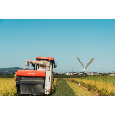 令和7年産 身体にやさしいお米【栽培期間中、農薬・化学肥料を一切使わず育てたお米】農家直送致します