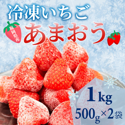 【福岡スイーツ自然の贈り物】化粧箱入り!福岡県産冷凍あまおう(計1kg[500g×2袋])(筑前町)