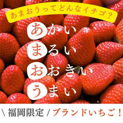 【福岡スイーツ自然の贈り物】化粧箱入り!福岡県産冷凍あまおう(計1kg[500g×2袋])(筑前町)