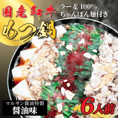 【化粧箱入り】素材にこだわりました!厳選博多牛もつ鍋セット(6人前醤油スープ)【202609】