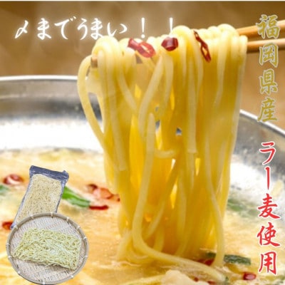 【化粧箱入り】福岡グルメ!博多牛もつ鍋セット(2人前[牛もつ2人前 200g×1袋])(筑前町)