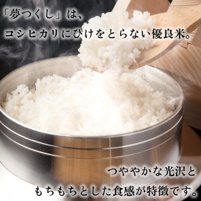 令和7年産 福岡県産米 夢つくし 合計10kg(5kg×2袋)(筑前町)