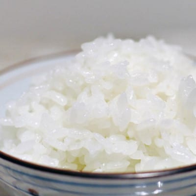 キャンプ飯　元気つくし無洗米真空パック1合20袋　令和7年産【価格改定】