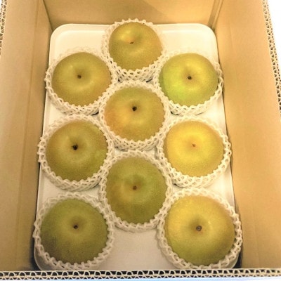【産地直送】筑前町の豊かな自然の中で育まれた梨　約3kg(5玉～9玉)【202609】