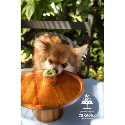 ペットフード(犬のおやつ)　ジャガイモとブロッコリーのタルト　5個入り