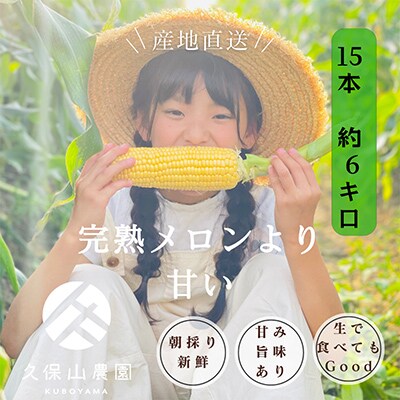 【完熟メロンのように甘い】朝採り!スイートコーン　約6kg【贈答用にもオススメ】