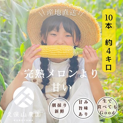 【完熟メロンのように甘い】朝採り!スイートコーン　約4kg【贈答用にもオススメ】