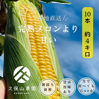 【完熟メロンのように甘い】朝採り!スイートコーン　約4kg【贈答用にもオススメ】