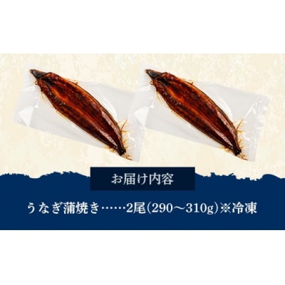 国産 うなぎの蒲焼き(鹿児島県産) 2尾 (290～310g) 