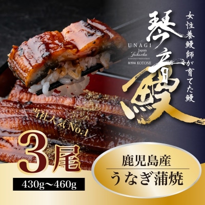国産 うなぎ 蒲焼き(鹿児島県産) 3尾 (430～460g)