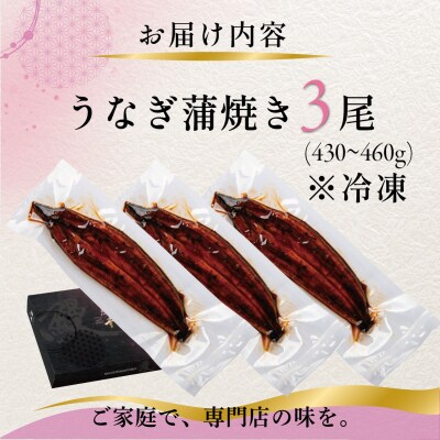 国産 うなぎ 蒲焼き(鹿児島県産) 3尾 (430～460g)