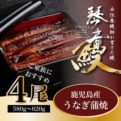 国産 うなぎ 蒲焼き(鹿児島県産) 4尾 (580～620g) 【価格改定】