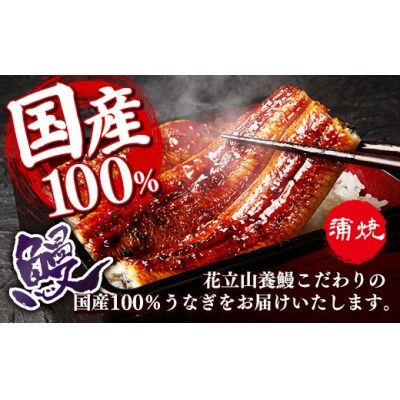 国産 うなぎ 蒲焼き(鹿児島県産) 4尾 (580～620g) 
