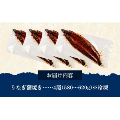 国産 うなぎ 蒲焼き(鹿児島県産) 4尾 (580～620g) 
