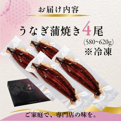 国産 うなぎ 蒲焼き(鹿児島県産) 4尾 (580～620g) 【価格改定】