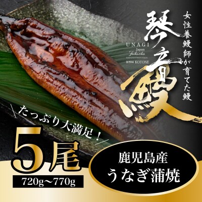 国産 うなぎ 蒲焼き(鹿児島県産) 5尾 (720～770g) 【価格改定】