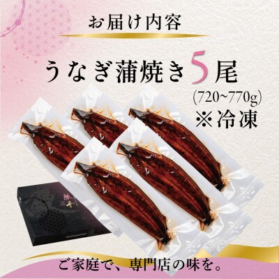 国産 うなぎ 蒲焼き(鹿児島県産) 5尾 (720～770g) 【価格改定】