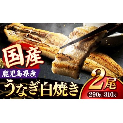 国産 うなぎ 白焼き(鹿児島県産) 2尾 (290～310g) 