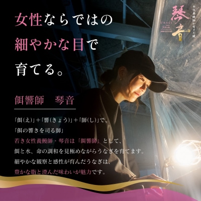 国産 うなぎ 白焼き(鹿児島県産) 2尾 (290～310g) 【価格改定】