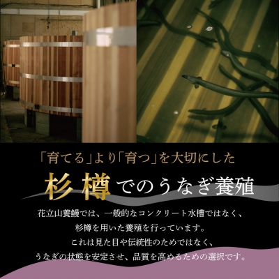 国産 うなぎ 白焼き(鹿児島県産) 2尾 (290～310g) 【価格改定】
