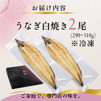 国産 うなぎ 白焼き(鹿児島県産) 2尾 (290～310g) 