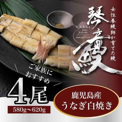 国産 うなぎ 白焼き(鹿児島県産) 4尾 (580～620g) 