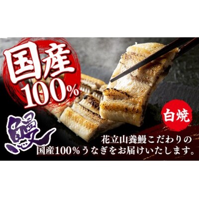 国産 うなぎ 白焼き(鹿児島県産) 4尾 (580～620g) 