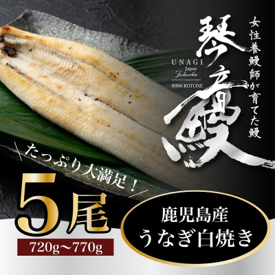 国産 うなぎ 白焼き(鹿児島県産) 5尾 (720～770g) 【価格改定】