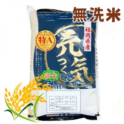 【令和7年産】福岡県産ブランド米「元気つくし」無洗米5kg(筑前町)【価格改定】