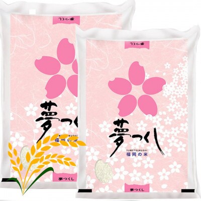 【令和7年産】福岡県産米食べ比べ 白米セット「夢つくし」「元気つくし」2種類計20kg 筑前町