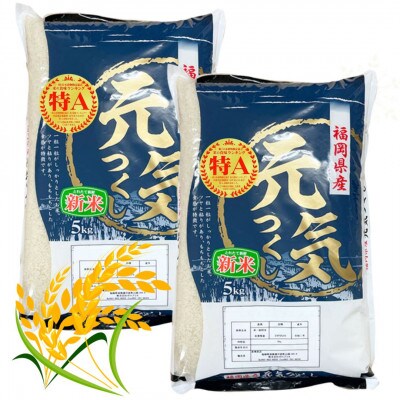 【令和7年産】福岡県産米食べ比べ 白米セット「夢つくし」「元気つくし」2種類計20kg 筑前町