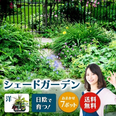 日陰で育つシェードガーデン(洋風)セット【価格改定】