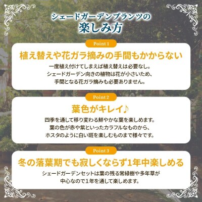 日陰で育つシェードガーデン(洋風)セット【価格改定】