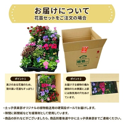 季節の花苗24セット【価格改定】