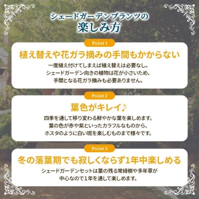 日陰で育つシェードガーデン(和風)セット
