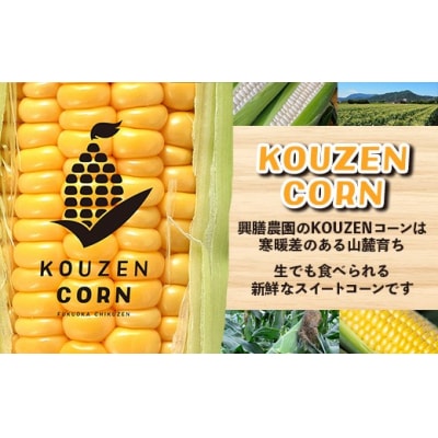 興膳農園のスイートコーン ゴールドラッシュ 約4kg(9~11本)